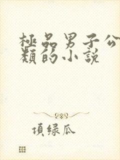 极品男子公寓一类的小说