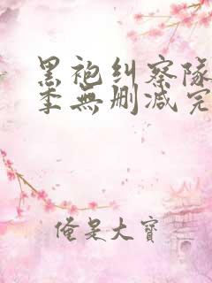 黑袍纠察队第一季无删减完整版