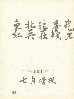 东北往事我叫赵红兵在线免费观看