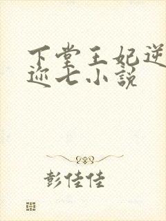 下堂王妃逆袭记迩七小说