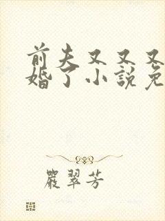 前夫又又又想复婚了小说免费观看