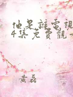 他是谁电视剧24集免费观看全集