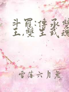 斗罗:传承双神王,双生武魂