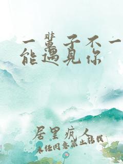 一辈子不一定还能遇见你