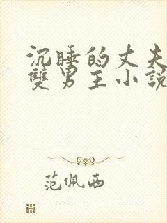 沉睡的丈夫by双男主小说推荐