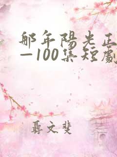 那年阳光正好1—100集短剧免费看