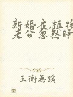 新婚夜,植物人老公忽然睁开眼电子书