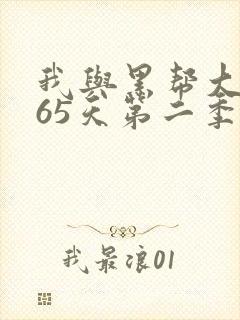 我与黑帮大佬365天第二季