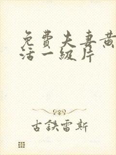 免费夫妻黄色生活一级片