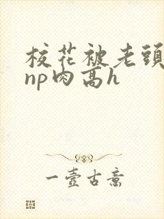 校花被老头强迫np肉高h