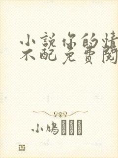 小说你的情深我不配免费阅读