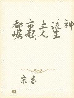 都市上流神豪的崛起人生