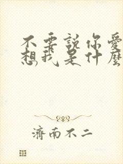 不要说你爱我你想我是什么歌名