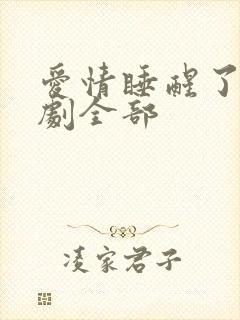 爱情睡醒了电视剧全部