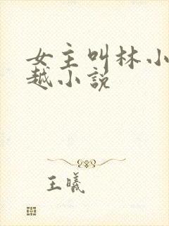 女主叫林小小穿越小说
