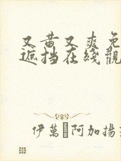 又黄又爽免费无遮挡在线观看