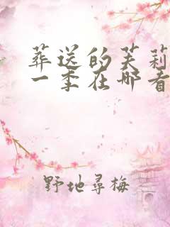 葬送的芙莉莲第一季在哪看