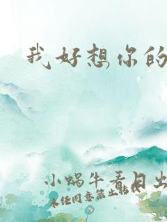 我好想你的日语