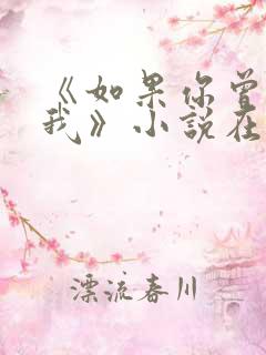 《如果你曾相信我》小说在线阅读