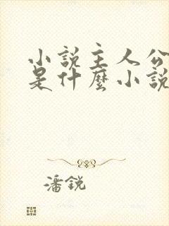 小说主人公叶辰是什么小说名