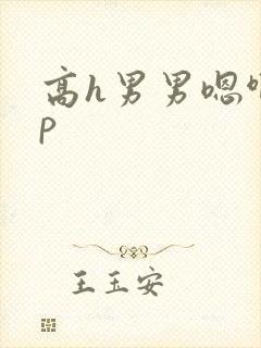 高h男男嗯啊np