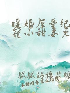 暖婚厚爱纪总独宠小甜妻免费看全集