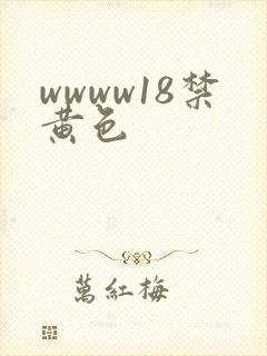 wwww18禁黄色