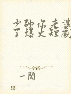 少帅你老婆又跑了爆火短剧