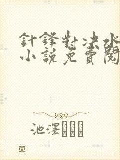 针锋对决水千丞小说免费阅读笔趣阁