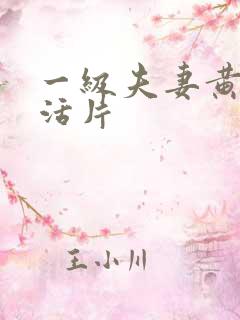 一级夫妻黄色生活片