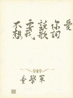 不要说你爱我你想我歌词