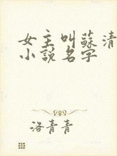 女主叫苏清瑶的小说名字