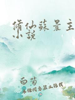 修仙苏晨主角的小说