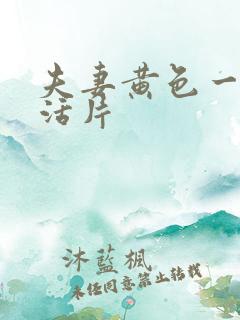 夫妻黄色一级生活片