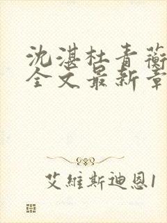 沈湛杜青蘅小说全文最新章节更新