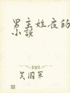 男主姓夜的现代小说