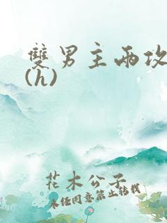 双男主两攻一受(h)