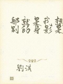 那就是我想你告别的身影是什么歌