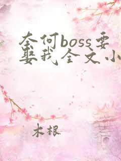 奈何boss要娶我全文小说阅读全文