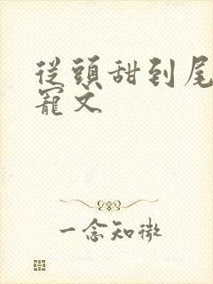 从头甜到尾的甜宠文