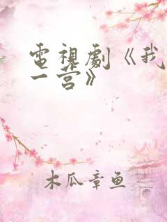 电视剧《我的特一营》