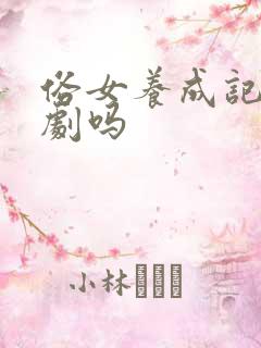 俗女养成记是台剧吗