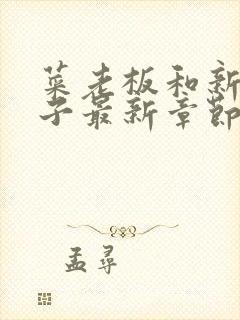 菜老板和新婚妻子最新章节更新