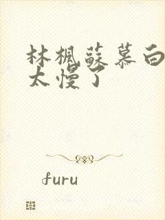 林枫苏慕白更新太慢了