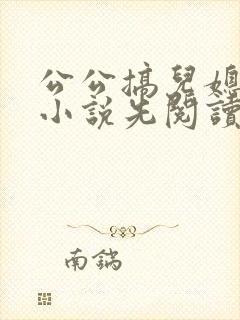 公公搞儿媳妇的小说先阅读