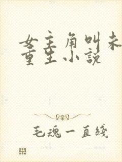 女主角叫未央的重生小说