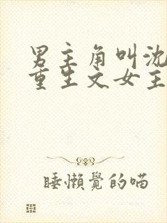 男主角叫沈恪的重生文女主被烧死的小说