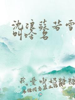 沈浪苏若雪小说叫啥名