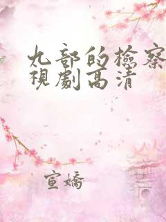 九部的检察官电视剧高清