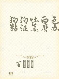 狗狗吐白色泡沫粘液怎么办